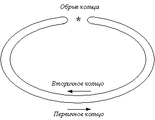 . 31.   FDDI  