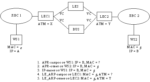  ARP        LEC