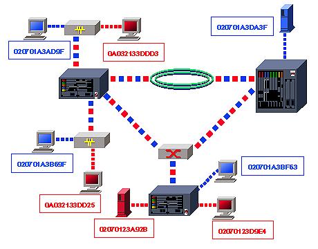 VLAN   MAC-