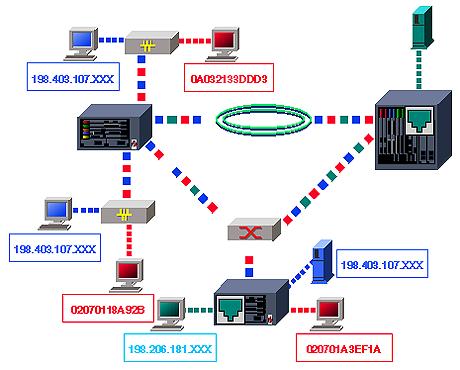 VLAN   