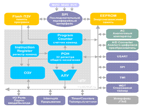    AVR