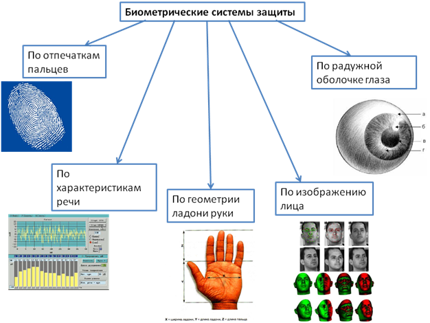 : https://sites.google.com/site/varichevanastya/_/rsrc/1386263515037/pravovye-normy-otnosasiesa-k-informacii/%D0%B7%D0%B0%D0%B3%D1%80%D1%83%D0%B6%D0%B5%D0%BD%D0%BD%D0%BE%D0%B5%20%282%29.png