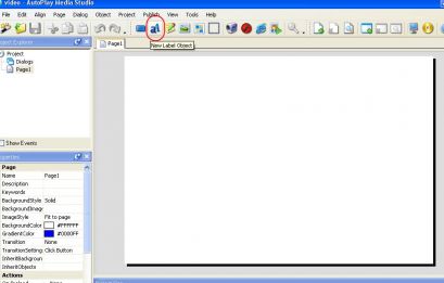 : Label object autoplay media studio
