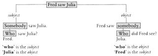 Unit 42. Questions (2): Who saw you ? Who did you see?