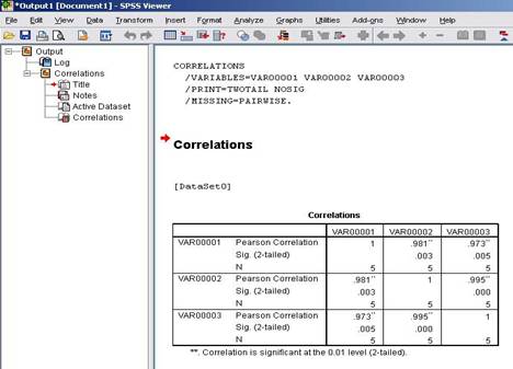 : SPSS 16 Result