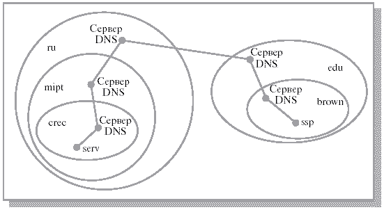      DNS-