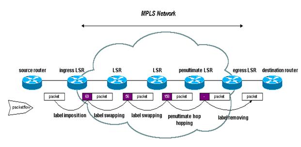 Network Diagram